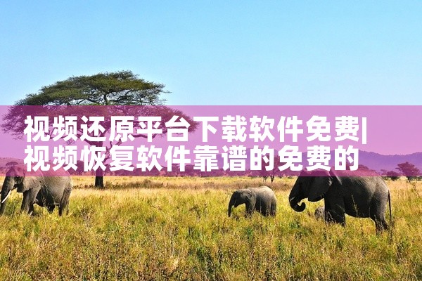 视频还原平台下载软件免费