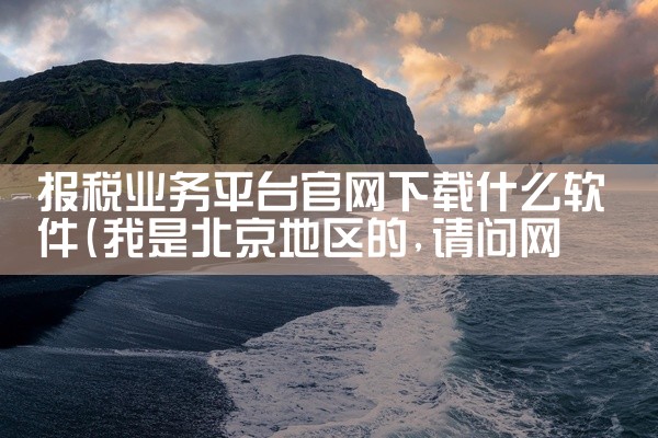 报税业务平台官网下载什么软件