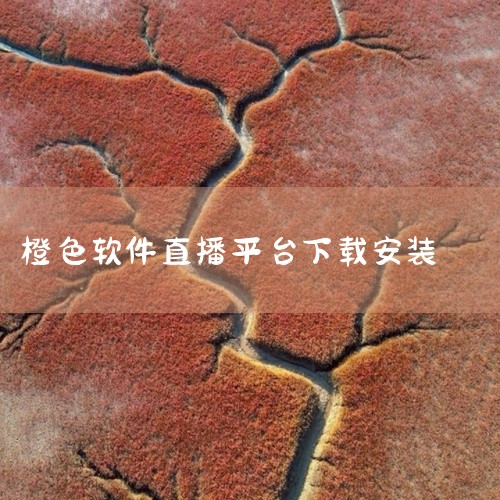 橙色直播清爽版v5.0.0安卓版下载安装是一款实用的手机应用程序,提供便捷的移动端功能服务。应用在设计上注重用户体验,界面简洁友好,操作逻辑清晰直观,核心功能涵盖日常使用的高频需求场景。支持安卓系统安|